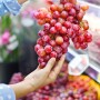Rabobank table grapes