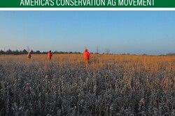Conservation options for non-revenue-generating acres.