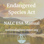 ESA Manual.png