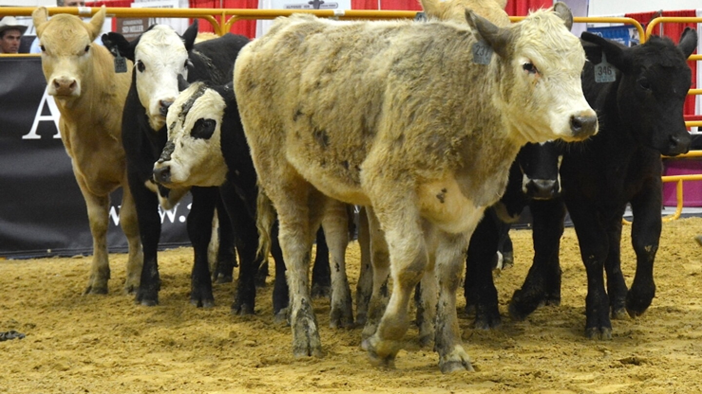 North Dakota Rancher and Partner Set to Purchase Agridime - Drovers
