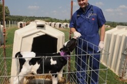 Hans Coetzee, BVSc, Cert CHP, PhD, DACVCP, DACAW, DECAWSEL, Professor and Head of the College of Veterinary Medicine’s Department of Anatomy & Physiology.