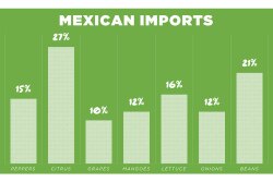 Mexican-Imports.jpg