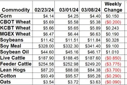 Weekly Change 3-8.jpg