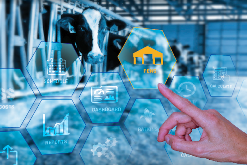 Feed Technology