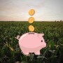 Piggy-Bank.jpg