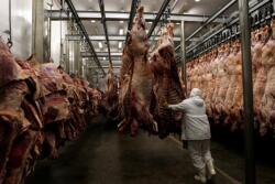 Lawsuit alleges antitrust violations.
