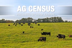 Nebraska, with 1.9 million beef cows, the fourth-largest state by beef cow numbers, is home to the nation’s top three beef counties. 