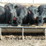 Weaning