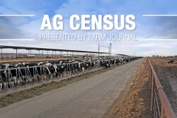The Ag Census shows that 54,599 farms had milk cows in 2017, but only 39,303 dairy farms actually sold milk from the cows they owned. 
