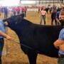 Dan Thomson, professor and chair in the Iowa State Department of Animal Science; Daniel J. Robison, endowed dean's chair in the Iowa State College of Agriculture and Life Sciences; Carson Suchan, youth exhibitor and Webster County 4-H member.
