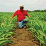 After 40 years in the field, agronomist Ken Ferrie shares his top lessons for farmers.