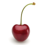 a single cherry