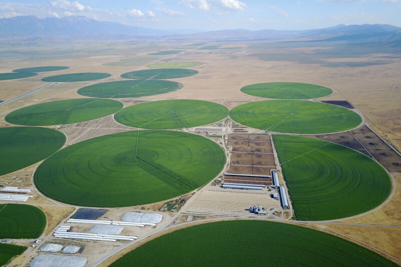 Utah Dairy Farm 