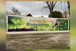 Buffalo urban container farm