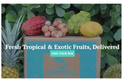 Fruit-Box.jpg