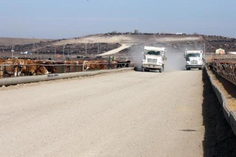 BT_feedyard_dust_feeding_3