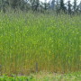 CRP rates changed in many counties this past year.