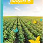 Sustainability Insights 2021