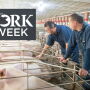 PORK Week producers in sow barn