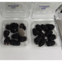 blackberries
