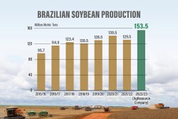 Brazilian Soybean Production