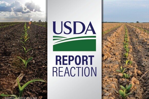 USDA Report Reaction - Lindsey Pound