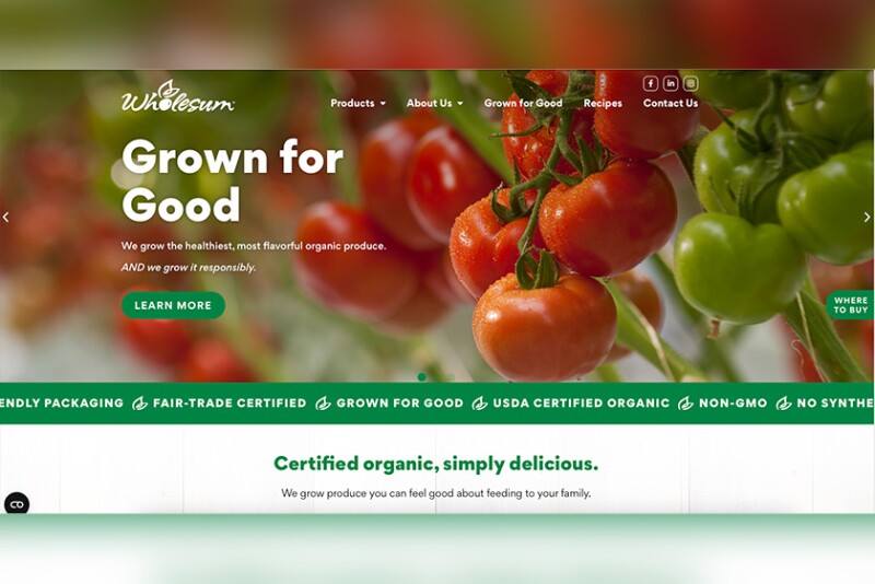 Image of Wholesum's revamped website