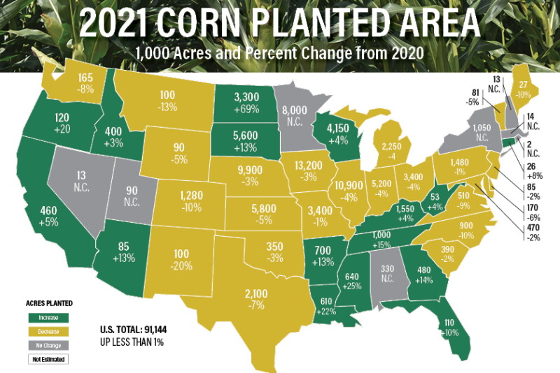 USDA's Prospective Plantings report released Wednesday showed farmers intend to plant more acres overall, but fewer than what the trade expected. Here's a breakdown of which states are seeing a shift in 2021 acres.