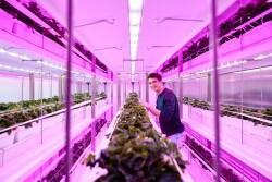 Philips growwise