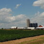 farmstead 