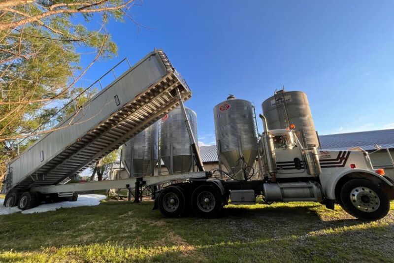 Water-Based Foam as a Method for Swine Depopulation