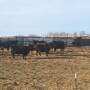 Now is the time to make plans for the 2021 grazing season.