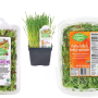micro greens cat grass etc pea greens