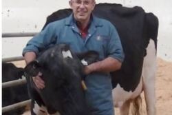 Gordon Atkins