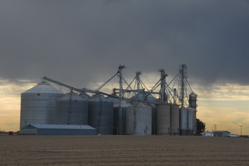 Relentless wet weather means some acres won't get planted. Angie Setzer of Citizens Grain says there are three main options to explore if you forward-contracted grain and now may not produce it. 