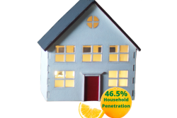 house orange wedge and whole orange and statistic