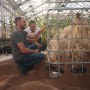 Scientists Examine Roots