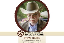 Gabel.jpg