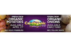 6830EC97-D06B-4B5D-9BC39B9D1A8E3CA8.png