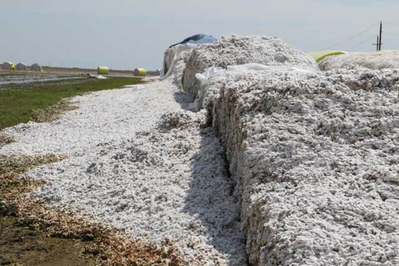 Cotton Modules Destroyed by Hurricane Harvey