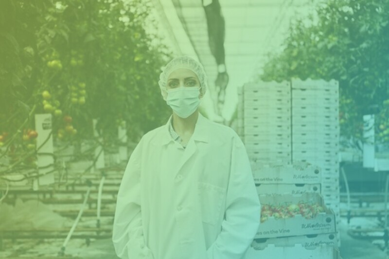 In this Fresh Take, Joanna Jaramillo, marketing manager at Wholesum, tells us about her roots, her most memorable project and the culinary inspiration behind her pug’s name. Here she stands inside the Wholsum organic TOV greenhouse in Amado for a video shoot. 