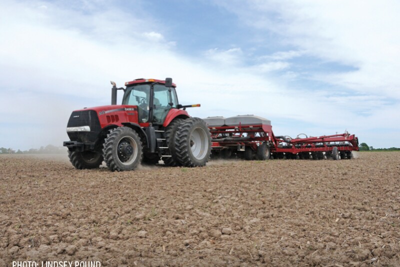 Planting planter Case IH by Lindsey Pound