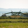Krone_Rake