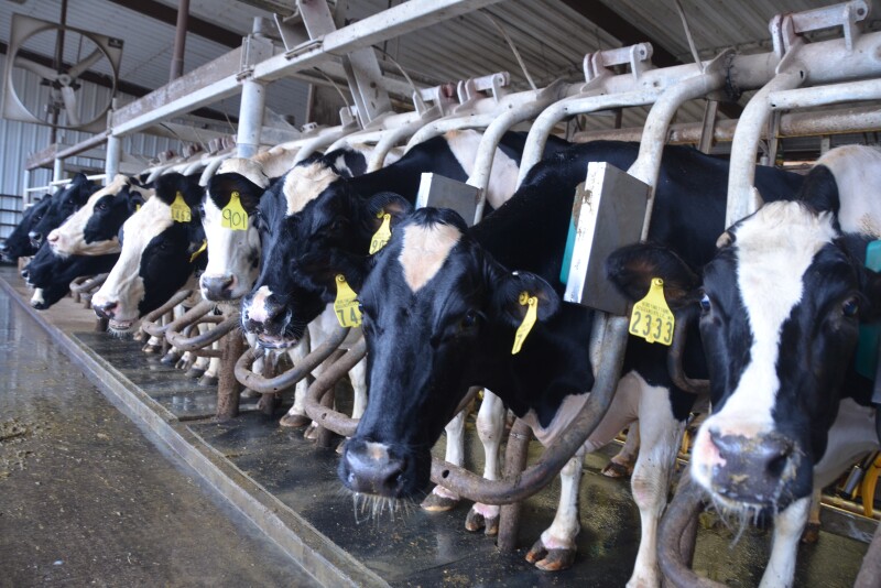 Key factors indicate that milk prices will continue to strengthen as we progress through the year. 