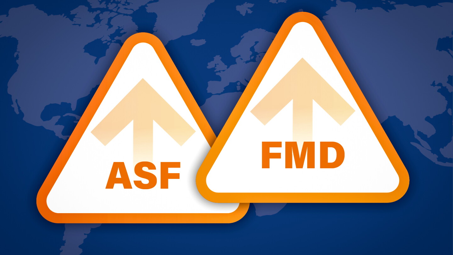 Global Swine Disease Surveillance Reveals Rising Risks for ASF and FMD