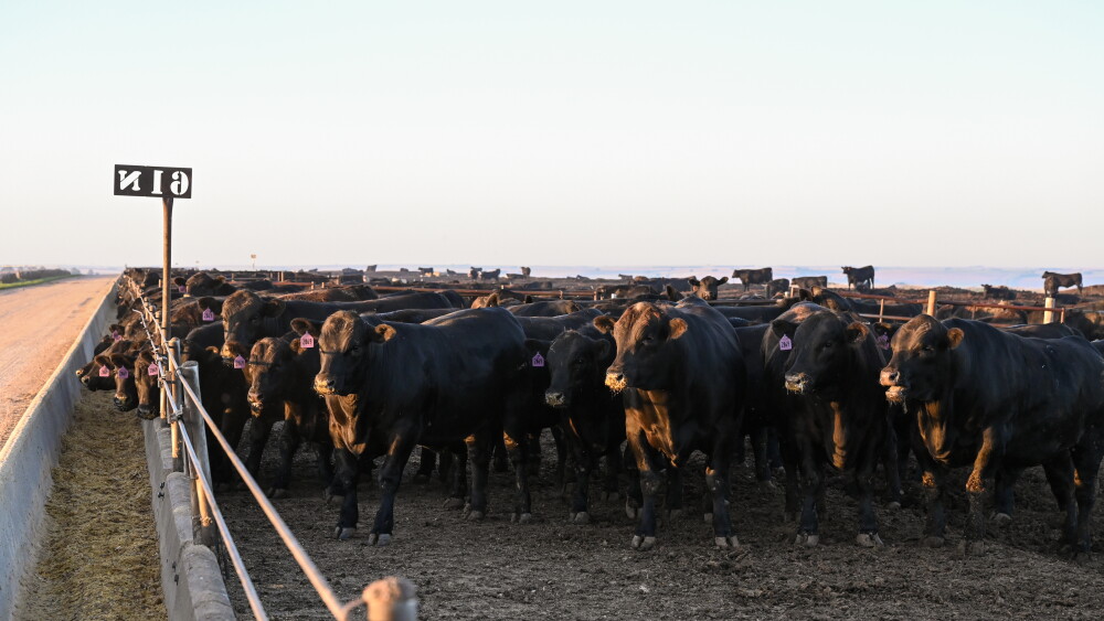 Nebraska feedyard