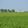 Vilsack said that the agriculture industry accounts for about 9 percent of U.S. emissions, adding that compares favorably with the rest of the globe but can be improved.
