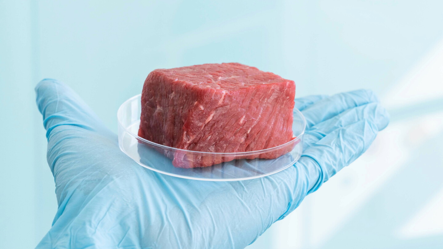 Florida Successfully Defends Lab-Grown Meat Ban in Court - Drovers