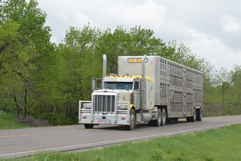Interfering with the shipping of livestock may soon be a felony offense in the state of Missouri, with the inclusion of Rep. Brenda Shields’ bill as part of a larger public safety package.