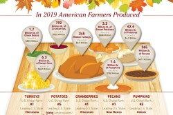 As the frantic pace of harvest winds down, we can reflect on another season of abundant effort. 